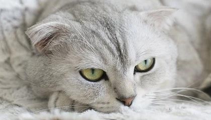 九游网页版官网-韩国电视剧热播引国际粉丝追捧，韩国电视剧热播电视剧