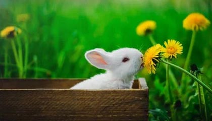 九游游戏中心-山西汾酒球队新战术体系见成效，山西汾酒球员名单