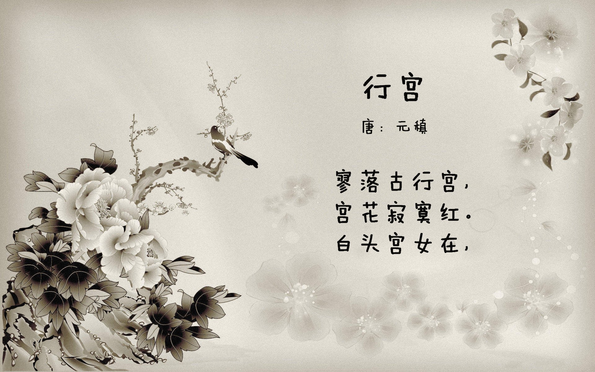 快船爆冷!,快船爆冷不敌鹈鹕