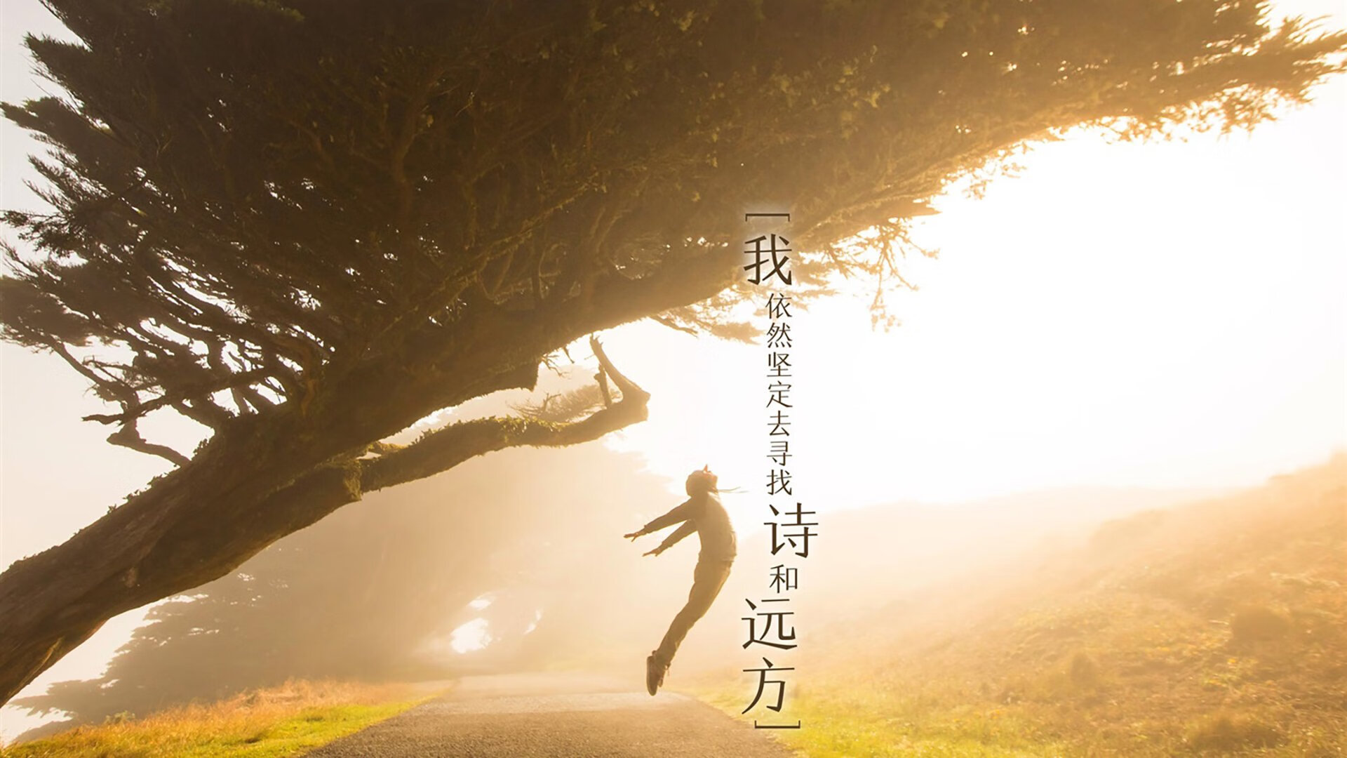 日本队与欧洲强队激战成和,日本欧洲杯