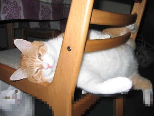 特色夜光跑比赛,燃爆城市的运动夜晚,夜光跑步