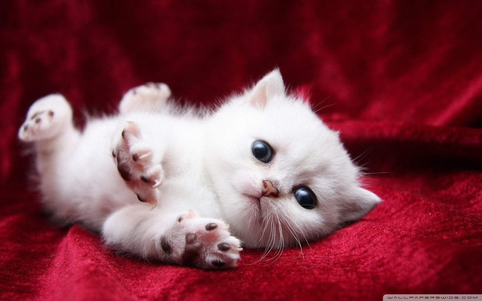 特色夜光跑比赛,燃爆城市的运动夜晚,夜光跑步