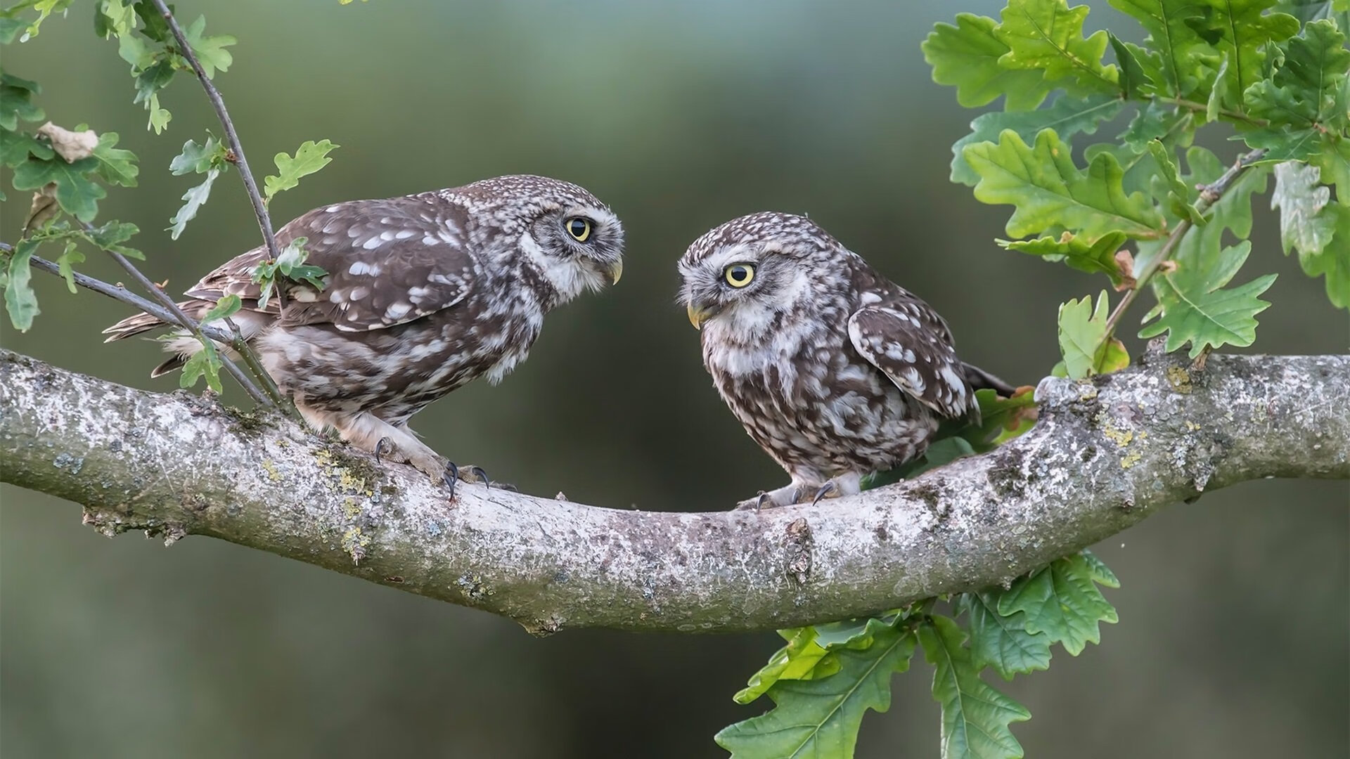 九游用户空间-精彩瞬间：比赛中的绝杀和精彩封盖瞬间合集！，比赛绝杀是什么意思