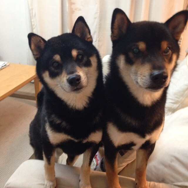 西甲豪门不断引援,增强整体战斗力,西甲豪门有哪些