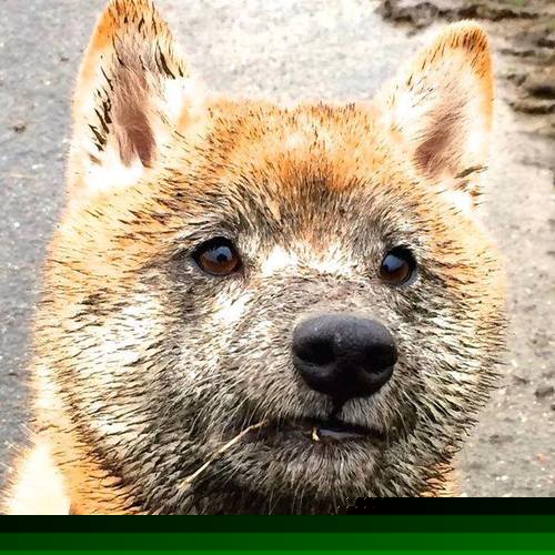 九游网-西甲赛季中，引入增强现实技术改善观赛体验，西甲技术流