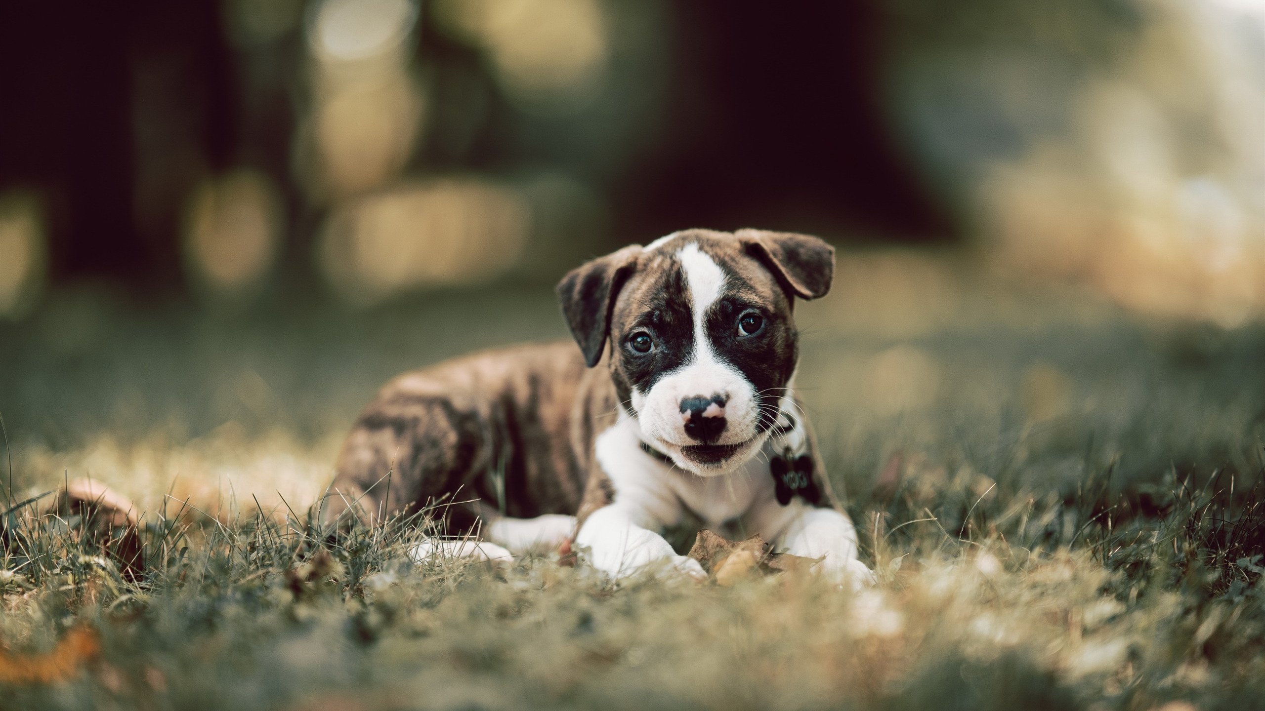 足球运动心理干预体系在国家队推行,足球心理训练对于青少年球员产生的影响