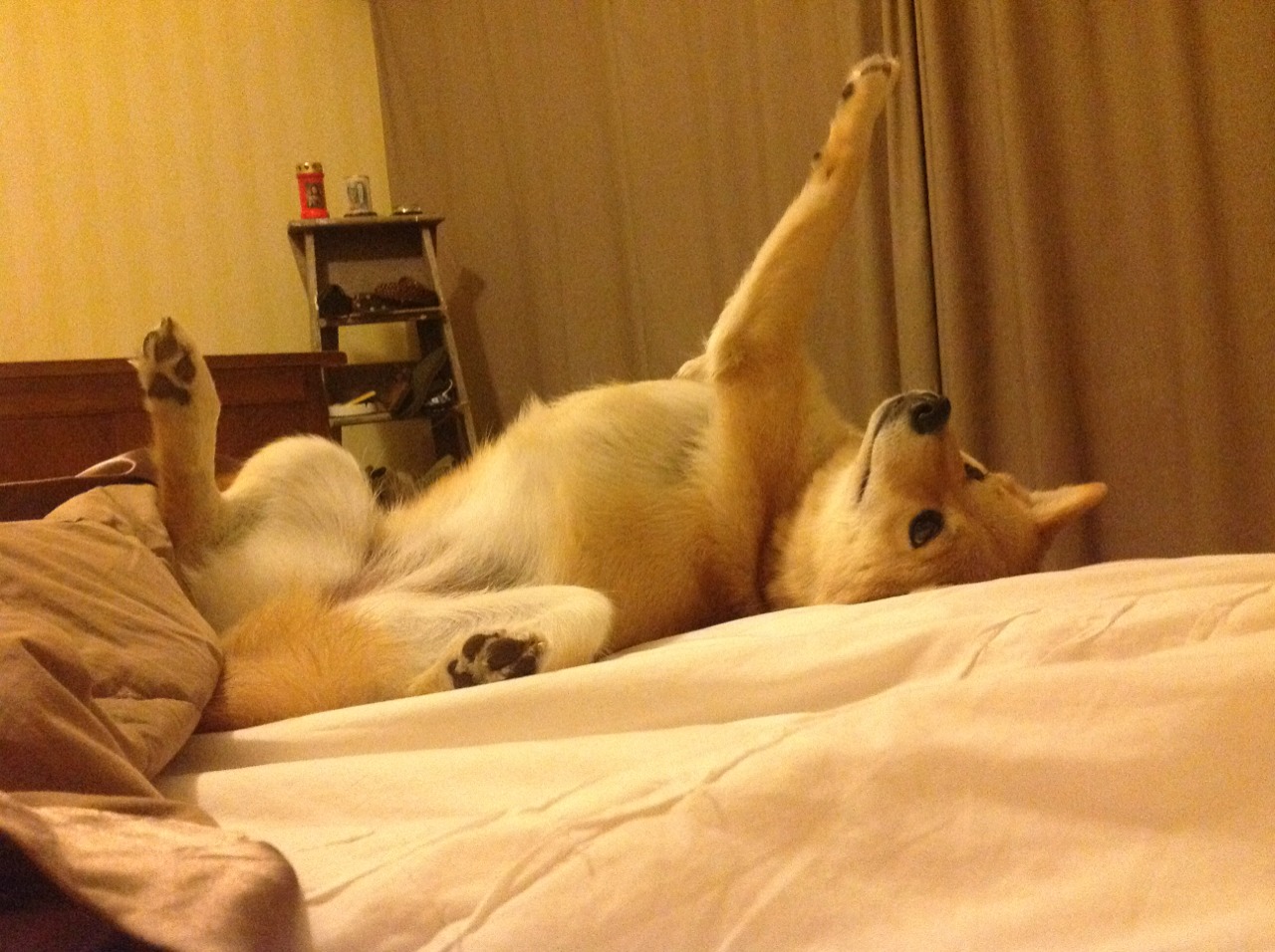 九游app官网下载-足球博主解析中超进攻战术获好评，足球博主解析中超进攻战术获好评的球员