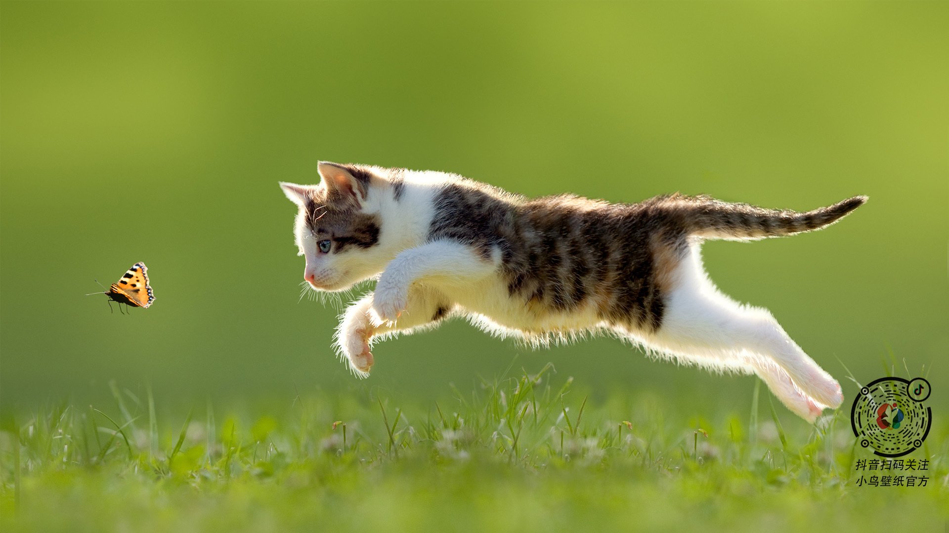 三队球员伤病情况更新,球员伤病图