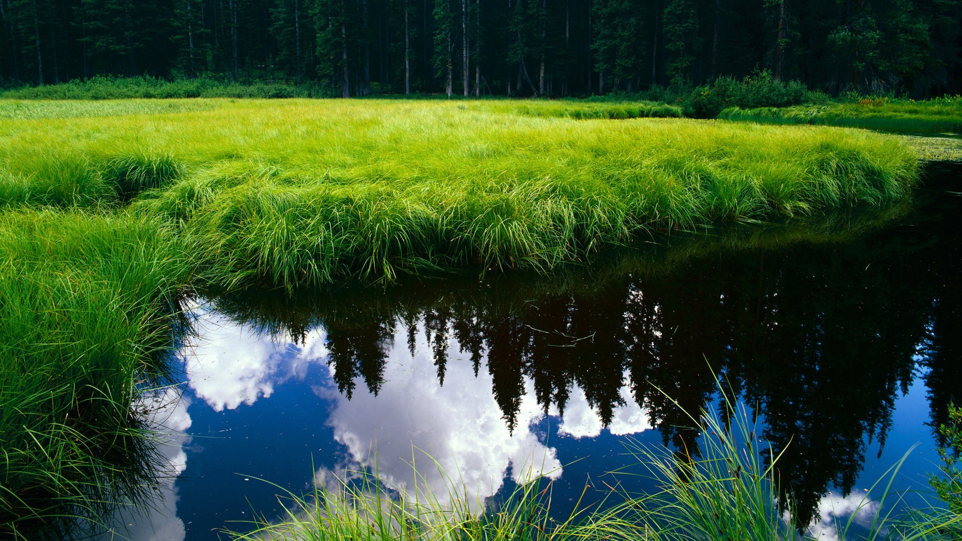 劲敌相逢!欧洲豪门球队将在比赛中较量,欧洲豪门另组欧洲联赛