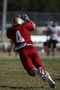 九游电竞平台官网-中超球队重点对手研究频率分布，中超球队实力分析